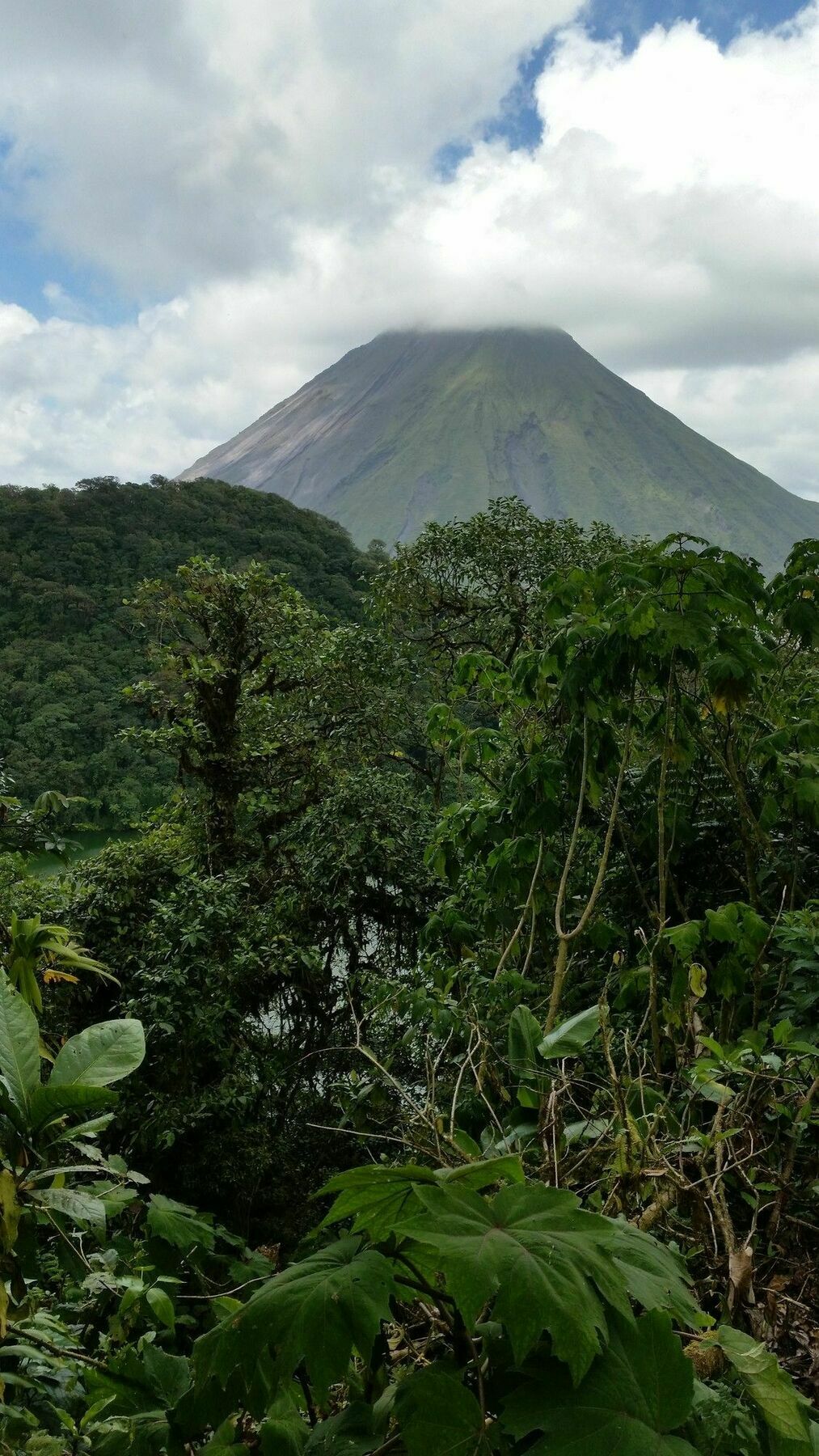 Tifakara Boutique Hotel & Birding Oasis La Fortuna Exteriör bild