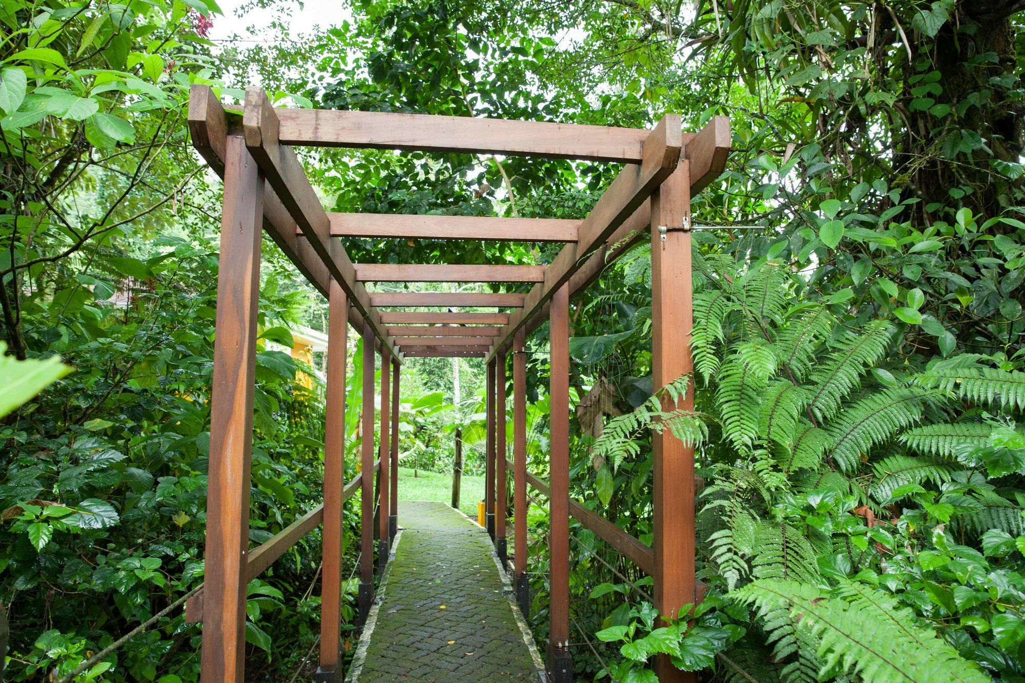 Tifakara Boutique Hotel & Birding Oasis La Fortuna Exteriör bild